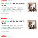 쿤광고