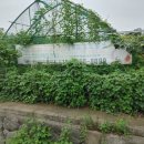 아남농장 이미지