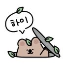 코다스튜디오