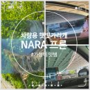 NARA프론 차량용 햇빛가리개 썬팅필름 솔직 사용후기