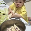 다온이네 - 시흥시 배곧4로 81-52 | 다온이네