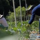 청산마을 이미지