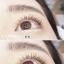 차밍아이래쉬