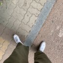 홈타운이 조으다