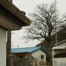 외눌마을(눌차마을)입구 이미지