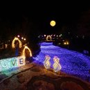 국화축제장 입구 이미지