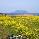 글라스하우스 이미지