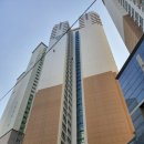 이안솔라 이미지