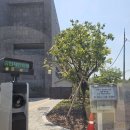 워시랜드 | 한국도로공사 전주 연수원 숙소 후기 + 전주수목원