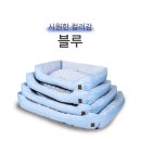 쿨한 강아지 | 대형견 강아지 아이스 쿨링 방석 쿨매트 후기 여름 필수템 솔직 리뷰