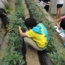 교현초등학교 이미지