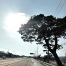 토성신화공업사 이미지