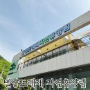 밀양 도래재 자연휴양림 숲속의 집 후기 밀양숙소추천