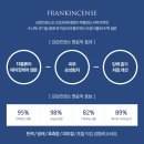 킨센스