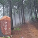 계룡산편백숲입구 이미지