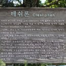 콘테이너목장 이미지