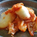 낙동강산오리 이미지