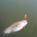 샘골 낚시터 이미지