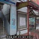 강촌역 이미지