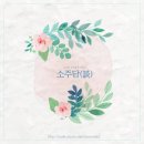 주민1이 보고싶어 올리는 2015년 MBC 가요대제전 소녀시대-Lion Heart 이미지