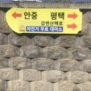 평택호1길 이미지