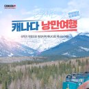 보물섬PC 이미지