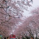 경화상회 이미지