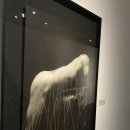 구본창의 항해- 서울시립미술관 회고전, 사진 전시 후기