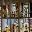 산야초 닭한마리 | 송파 올림픽공원 한식 / 음식이 친절한 산야초 닭한마리 혼밥! 후기