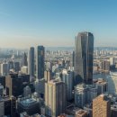 부동산0114부동산중개 이미지