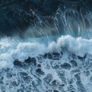 철없는바다 이미지