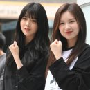 엘리 이미지