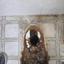 대림설비 이미지