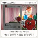 가나농장 | 진희네딸기 청주 딸기농장 가격 정보 및 방문 후기