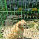 위전1리 이미지