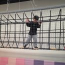 용인대용전태권도 이미지