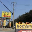 하늘나루 | 내돈내산 충주호 대형 유람선 장회나루 왕복 당일 예매 가격 소요시간 후기