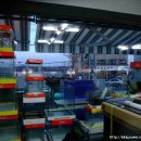 광원수족관 이미지