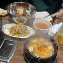 Jan 15 - 21 | 왜요, 제가 복실이와 차 둘 다 잃은 사람으로 보이시나요?