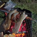 욕지도펜션블루씨 이미지