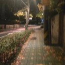 박종석 | 국립발레단 지젤 공연 관람 후기 (예술의전당 오페라극장 3층 B블록 4열 시야, 조연재 박종석)