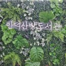 안덕산방도서관 이미지