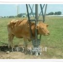 노원구청 이미지