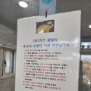 [서울근교] 가평 나나키즈풀빌라 추천 후기