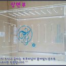 거미아크릴 이미지