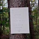 위드펜션 | 횡성 애견동반 펜션 &#39;위드펫빌리지&#39;