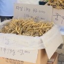 연천-7 | 제7회 연천 고려인삼축제 인삼 직거래 득템 후기
