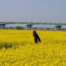 대저생태공원 이미지