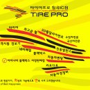 리솔썬팅