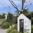 필연 | [제주조천카페] 근사한 공간의 찻집 갤러리카페 필연 내돈내산 솔직후기